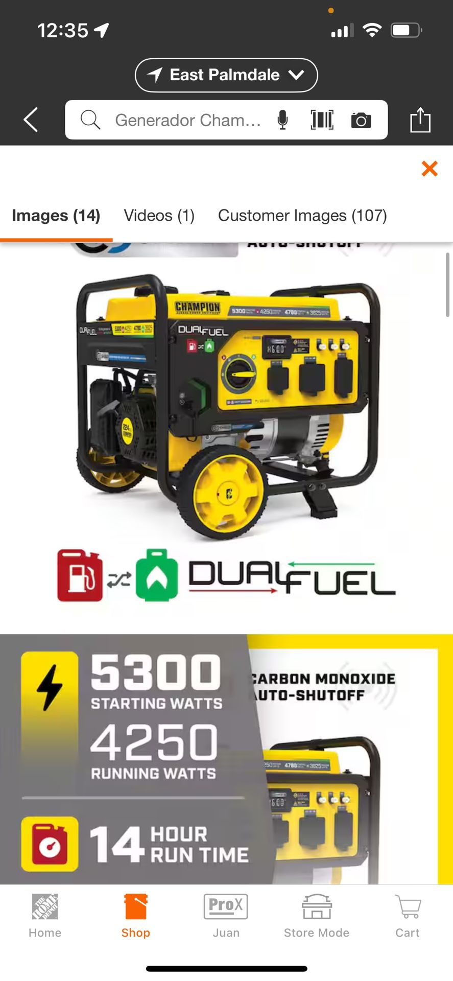 5300/4250-Watt Gasoline and Propane Powered Dual Fuel Portable Generator  with CO Shield