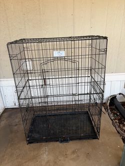 Birdcage