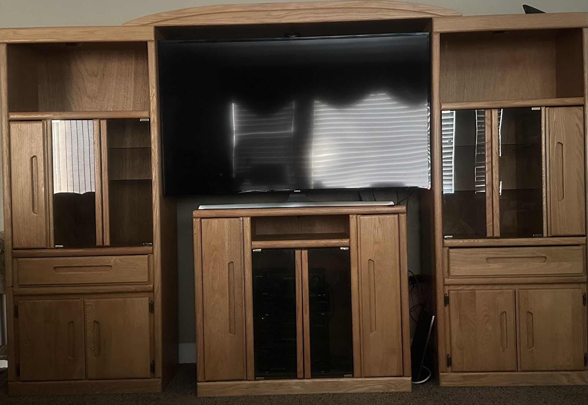 TV Entertainment center/ Wall Unit