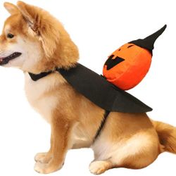 New Pet Halloween Pumpkin Costume - Size L