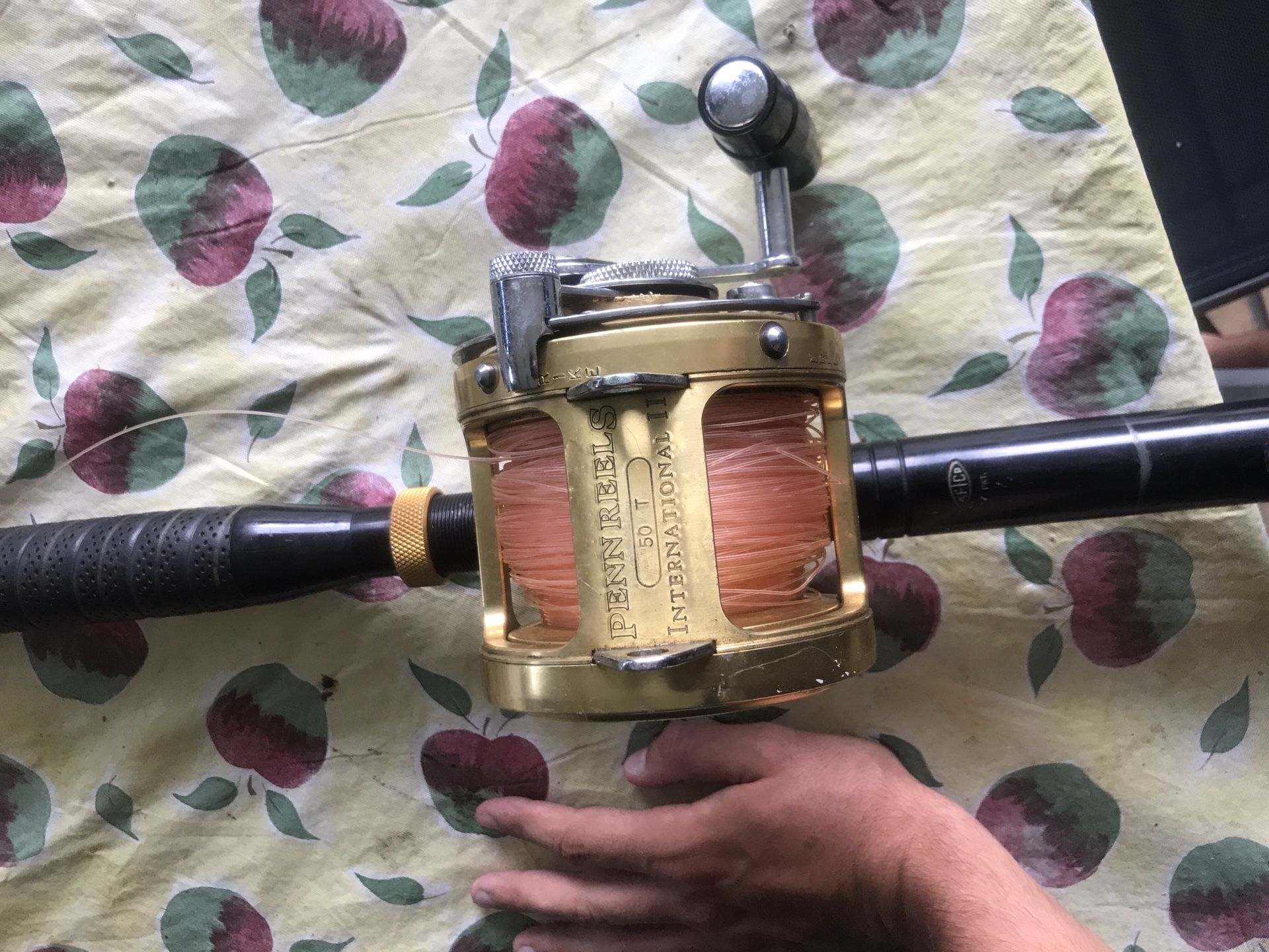 Penn international 50 fishing reel