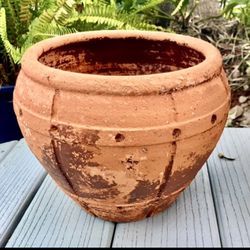 Terracotta Pot: 11”W x 8.5”H