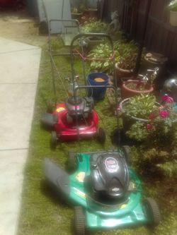 Regular bagless push mowers