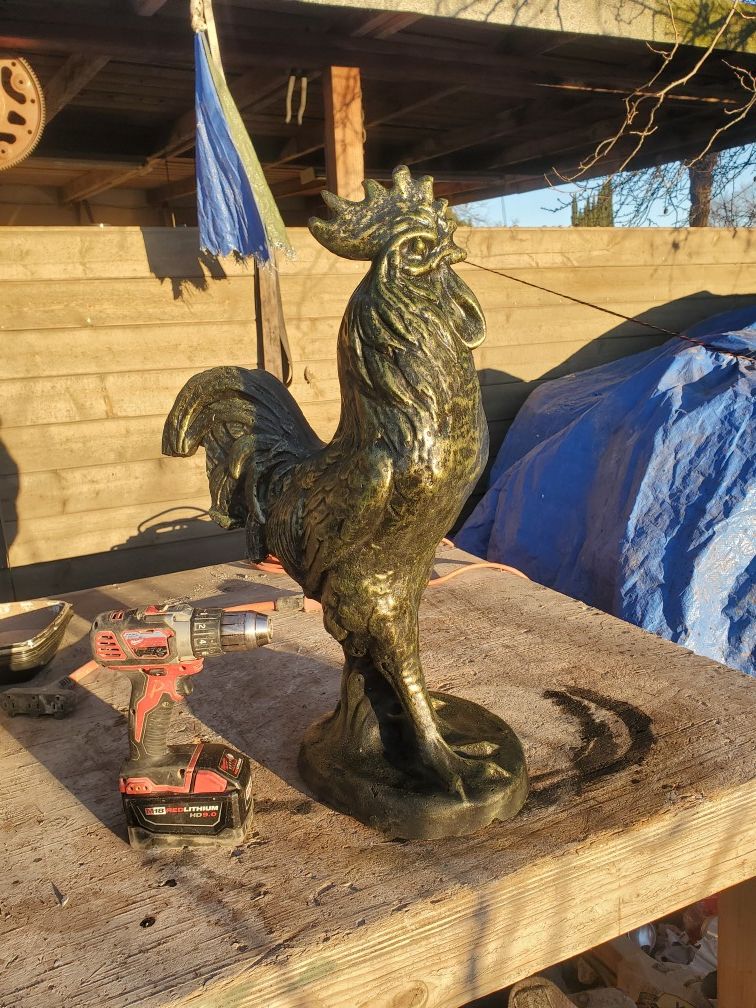 Freshly made rooster