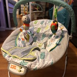 Baby Bouncer