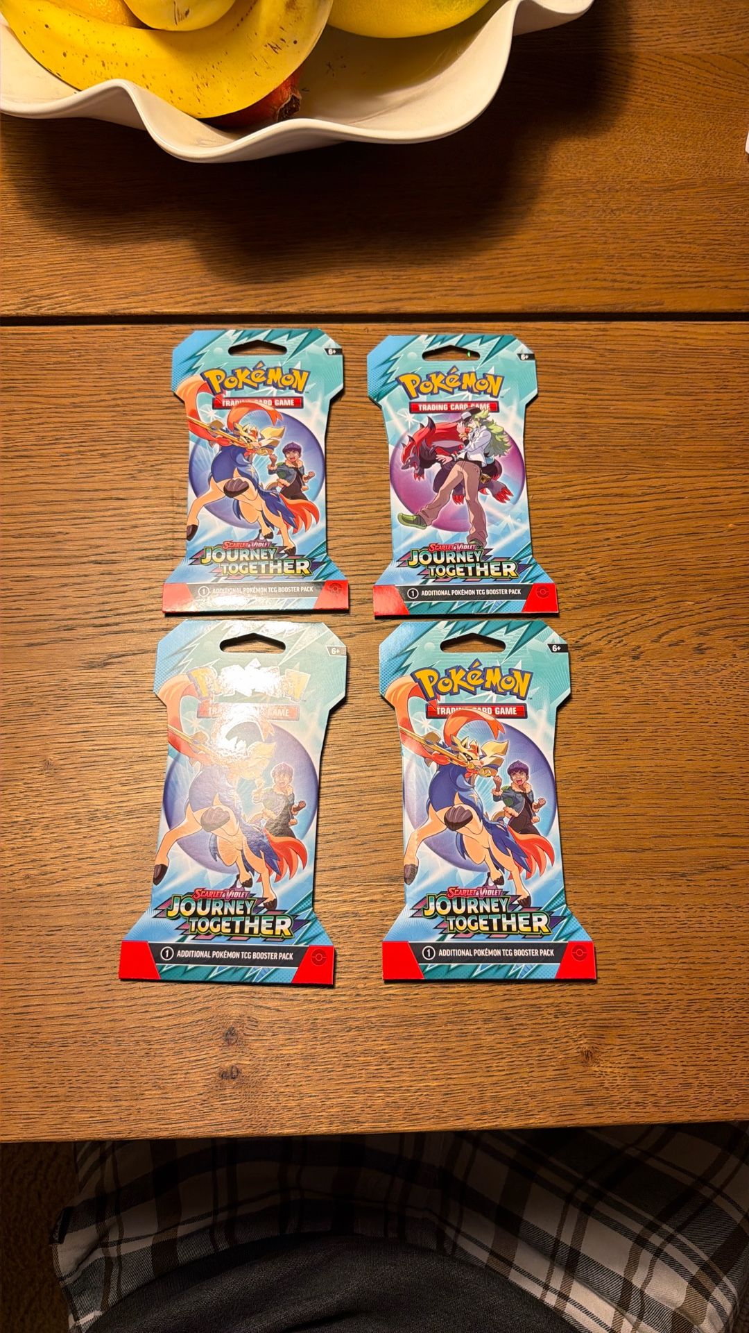 Pokémon Journey Together Packs Sealed Brand New