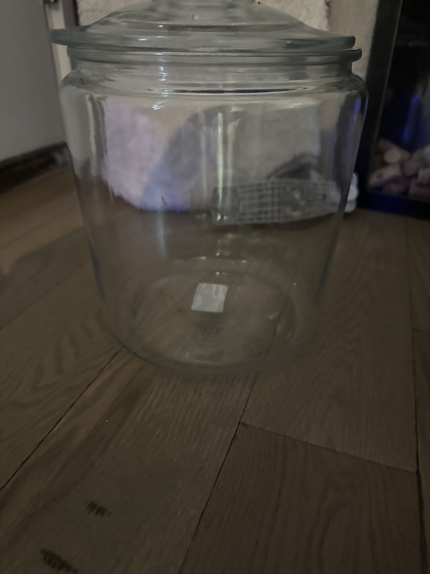 Large Glass Container