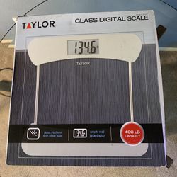 Taylor Glass Digital Scale 