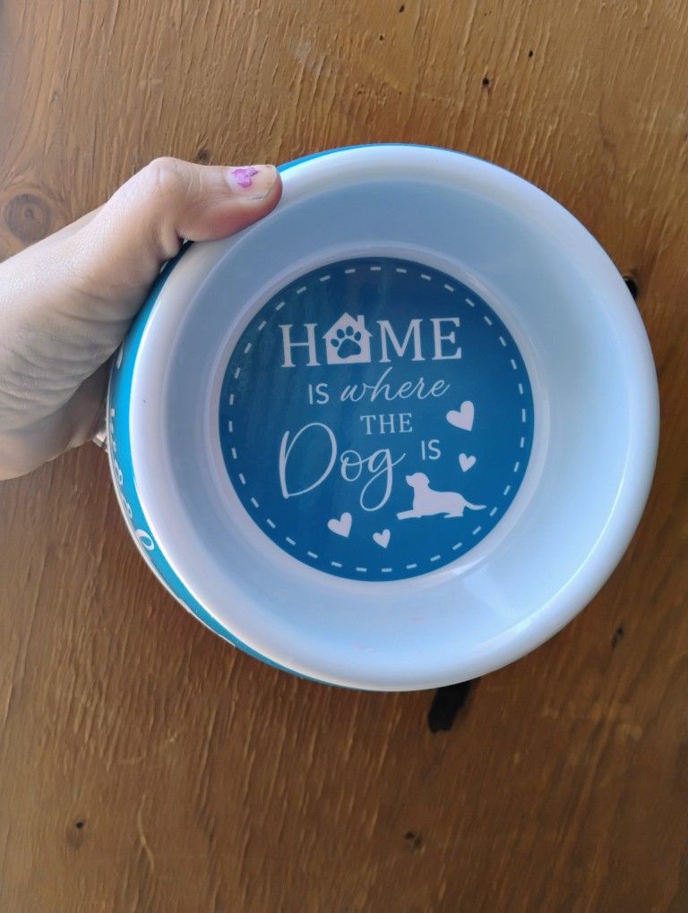 Dog Bowl 