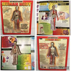 “Uncover The Human Body” Educational Learning Book Ages 8+