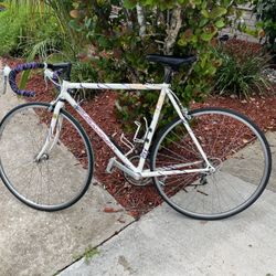 Vintage Schwinn Paramount Road Race Bike Bicycle Shimano 105