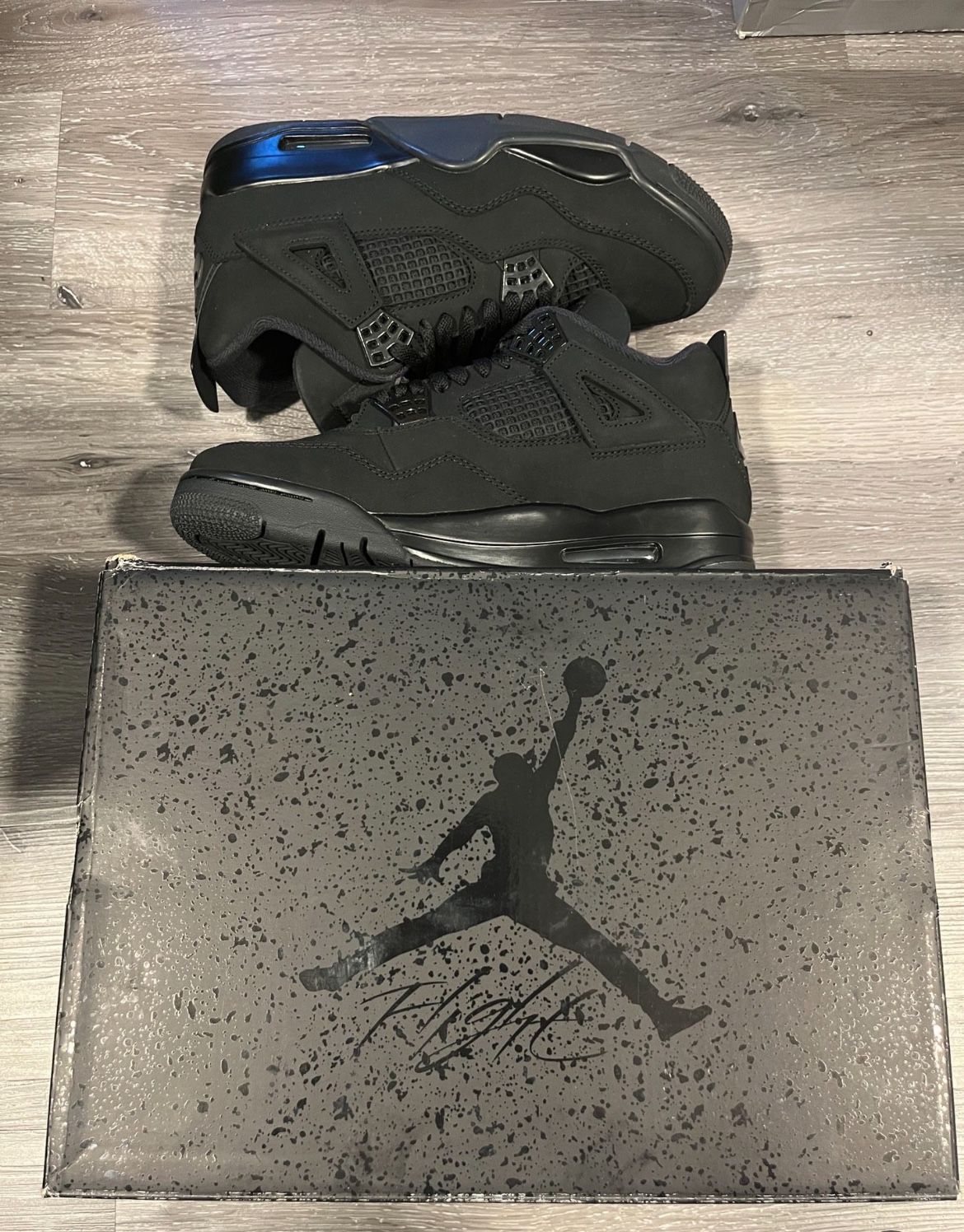 Air Jordan 4s Black Cats