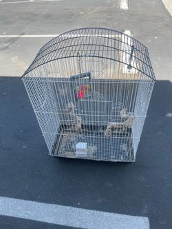 Bird Cage with Perches and Accessories