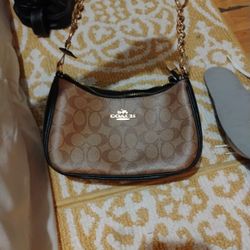 Small Coach Purse 25$