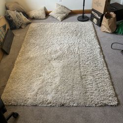 White Shag Rug