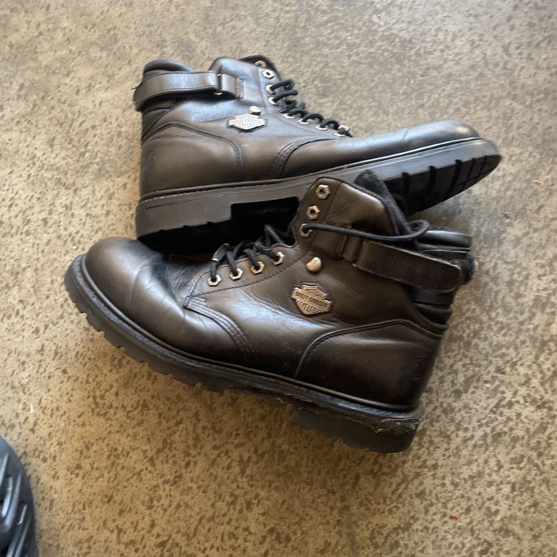 Harley Davidson Boots For Sale