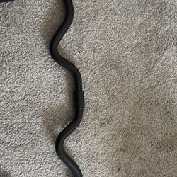 Ez Curl Bar 