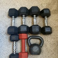 Weights And Bench 