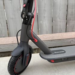 Electric Scooters