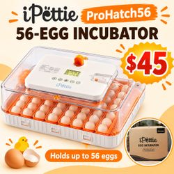 56-Egg Incubator