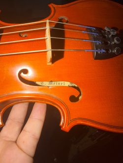 Meisel viola