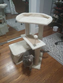 Cat Tree with Scratching Post