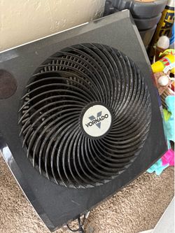 Fan