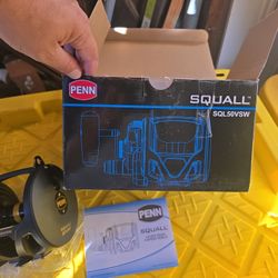 Penn  Squall Fishing2 Speed Reel