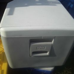 Igloo 40 Qt Electric Cooler. 