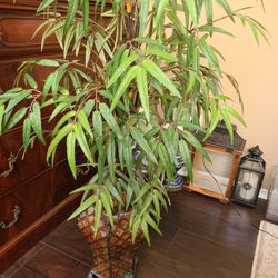Artficial  Plant 