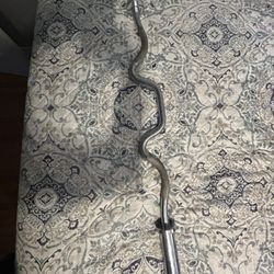 Curved Barbells And Barbell Plates