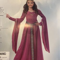 Brand New Medieval Princess Costume
