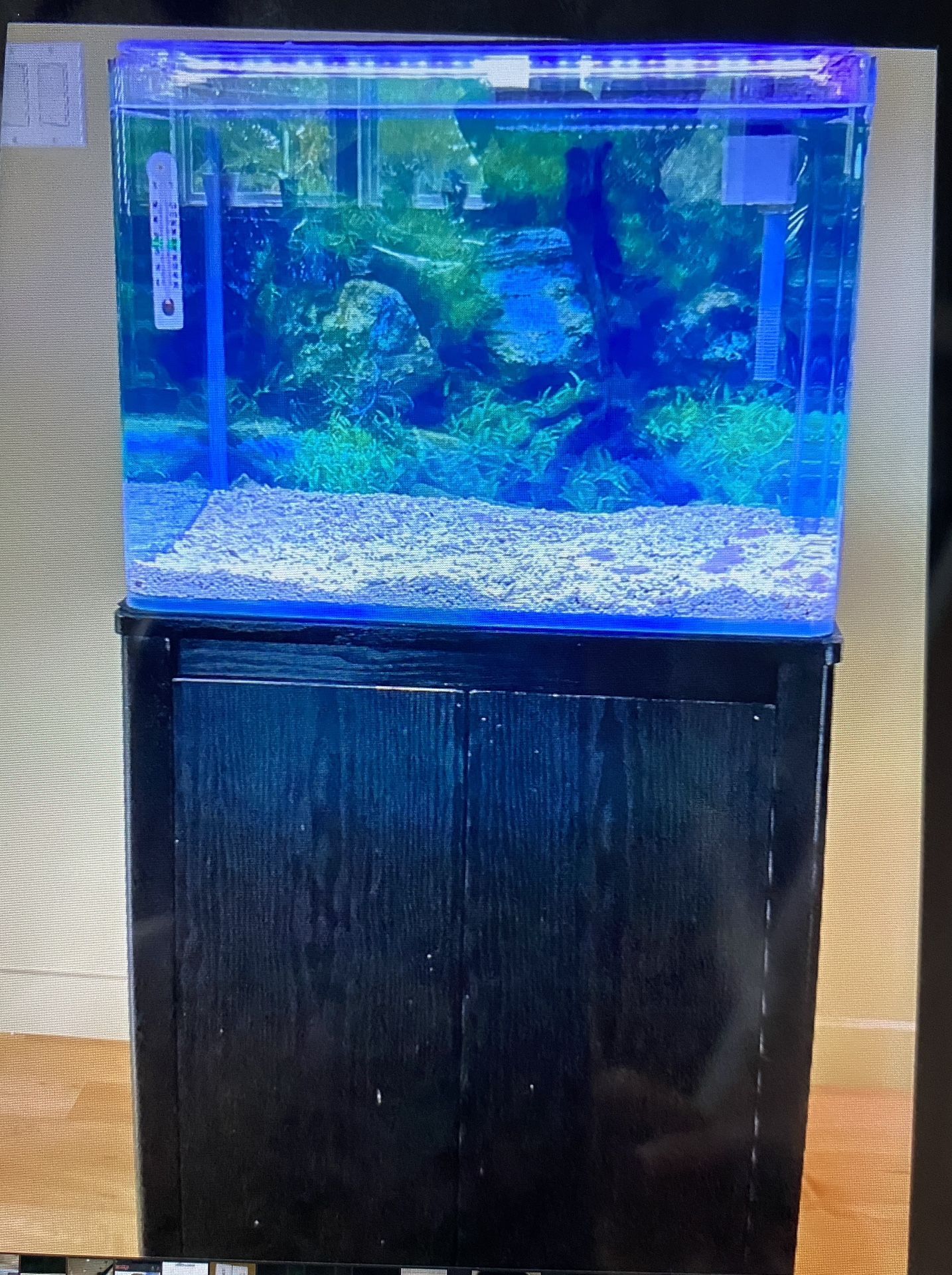 30 Gallon Kotobuki Radius Glass Frameless Aquarium 