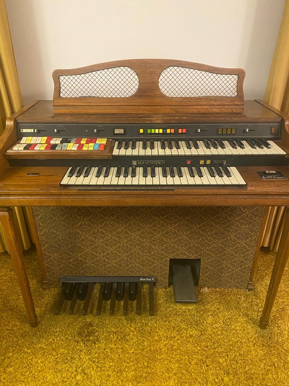 Vintage Organ Instrument