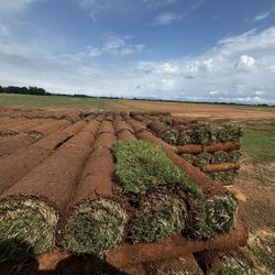 Bermuda Sod 600sqft Per Pallet