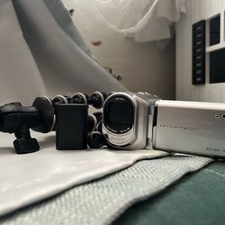 Sony Handycam DCR-SX40 Camcorder