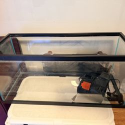 20g Fish Tank