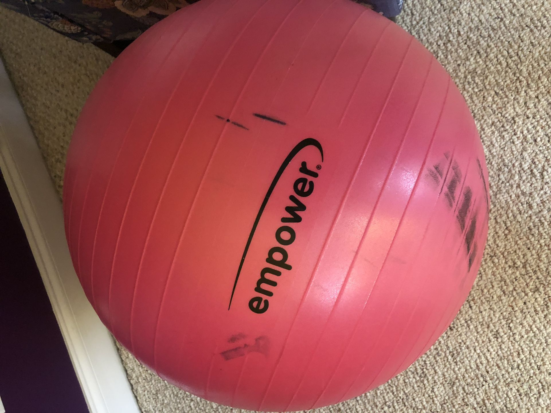 Exercise Ball With Pump