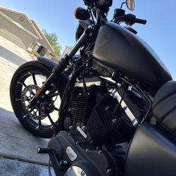2019 Harley Davidson Sportster 883