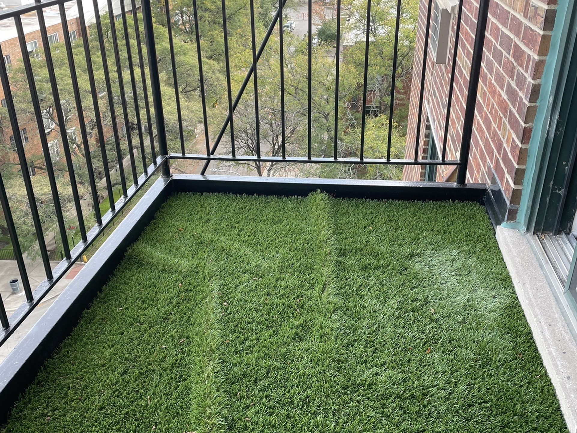 Turf (Jade 50 From Home Depot)