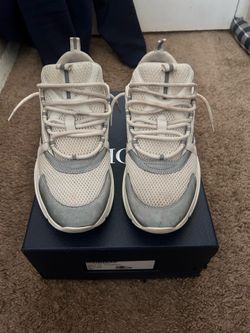 Dior b22 size 43