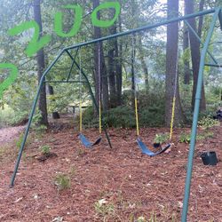 Heavy Duty Pipe Swing Set- Commercial Grade 