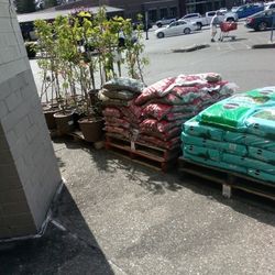 Potting Soil, Trees Fruit And Veggies, Starts By Tractor Supply N Home Depot Flowers 