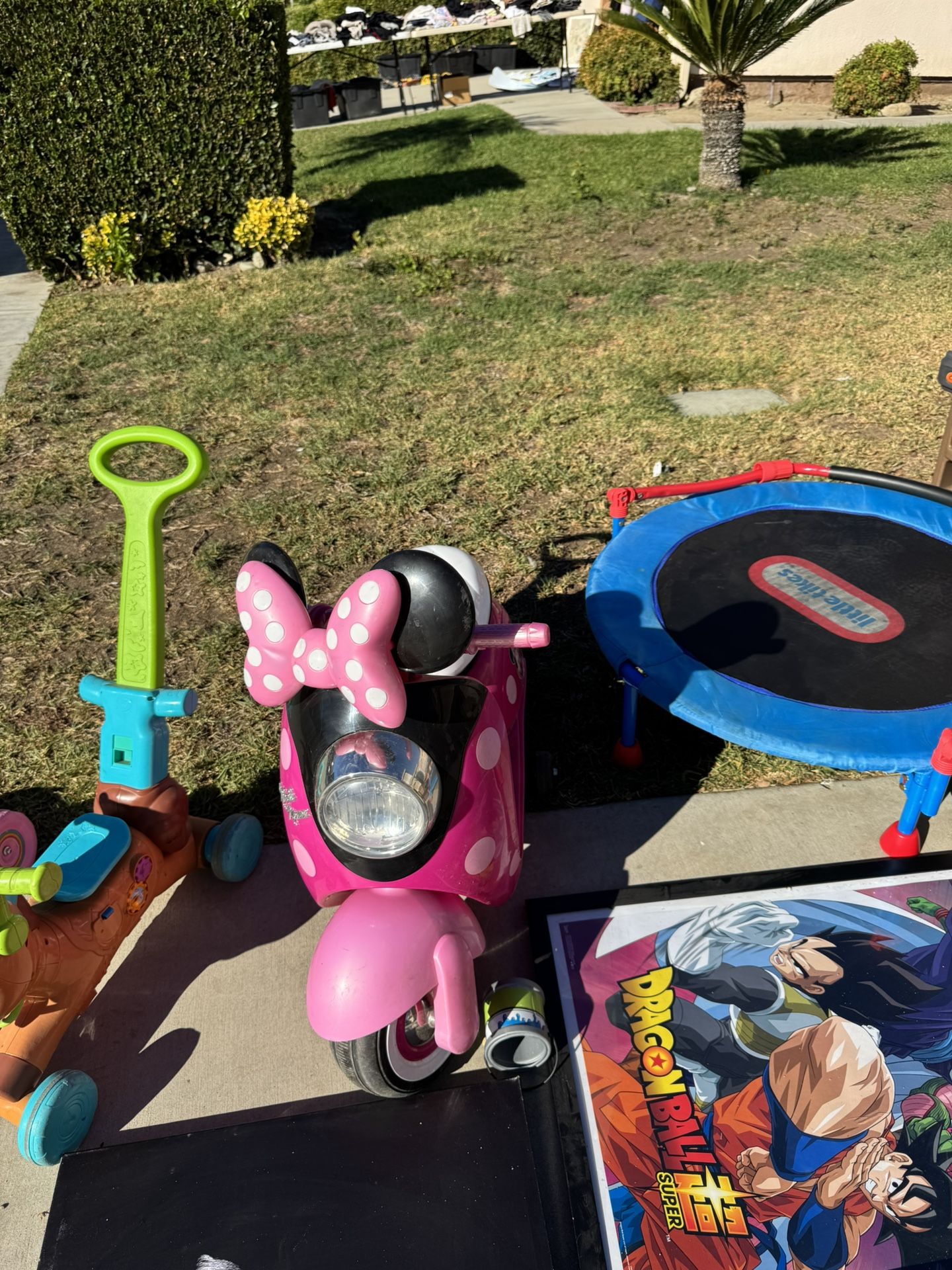 Minnie Mouse Electric Bio