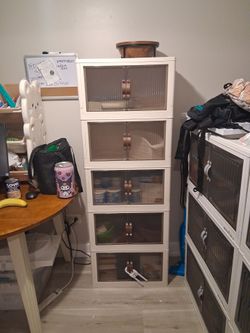 Korean storage unit