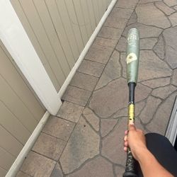 Baseball Bat 