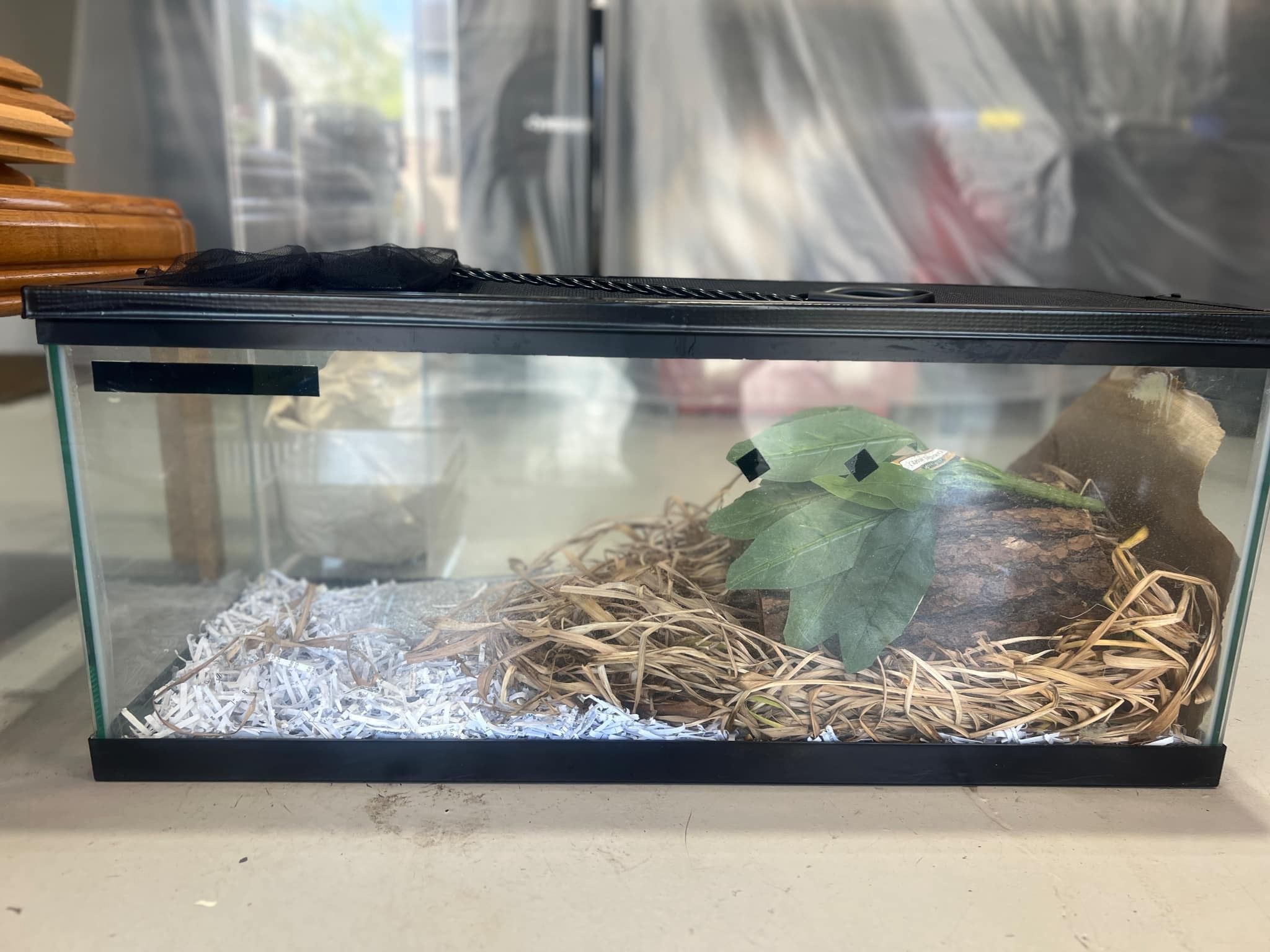 Terrariums 