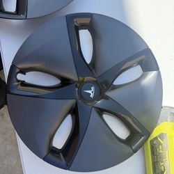Tesla Hubcap