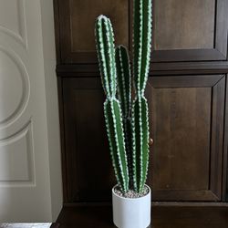 Cactus Plant Fake 36” Height
