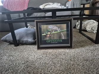 Opinions Framed Picture